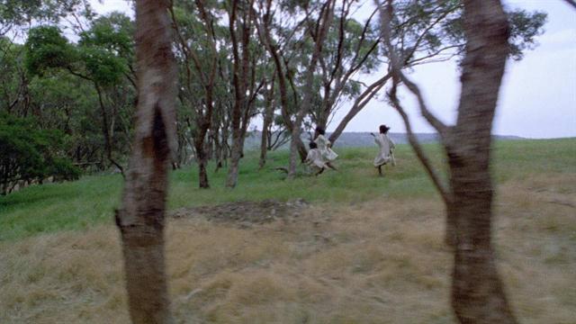 RabbitProof Fence Official Site Miramax